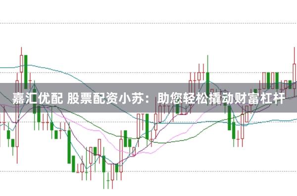 嘉汇优配 股票配资小苏：助您轻松撬动财富杠杆