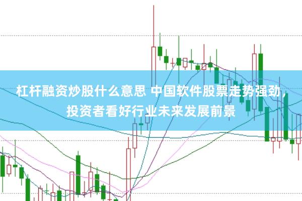 杠杆融资炒股什么意思 中国软件股票走势强劲，投资者看好行业未来发展前景