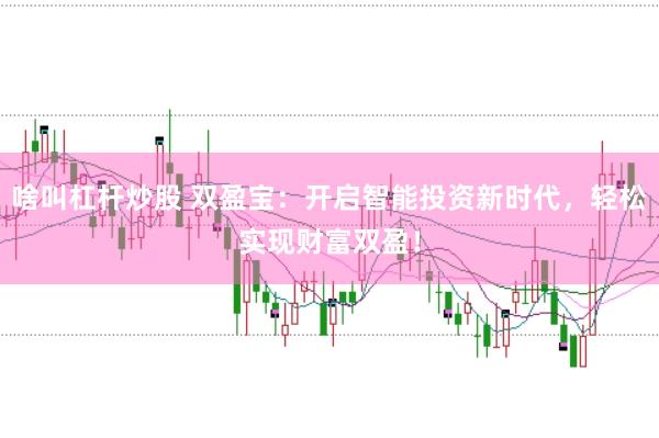 啥叫杠杆炒股 双盈宝：开启智能投资新时代，轻松实现财富双盈！