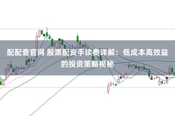 配配查官网 股票配资手续费详解：低成本高效益的投资策略揭秘