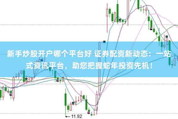 新手炒股开户哪个平台好 证券配资新动态：一站式资讯平台，助您把握蛇年投资先机！