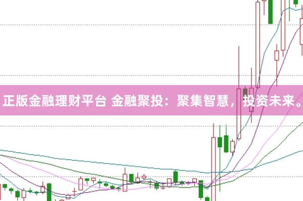 正版金融理财平台 金融聚投：聚集智慧，投资未来。