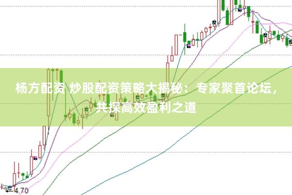 杨方配资 炒股配资策略大揭秘：专家聚首论坛，共探高效盈利之道
