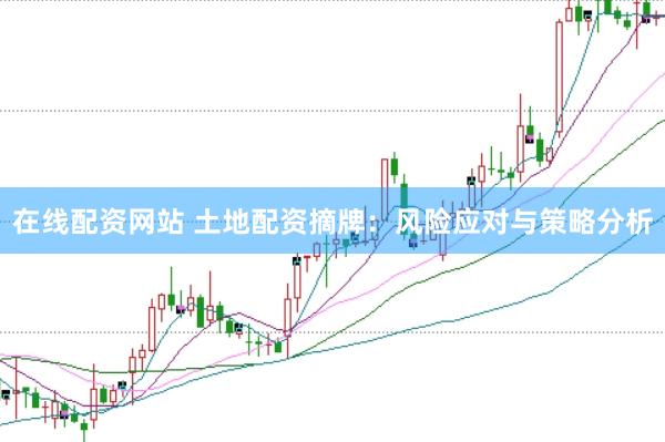 在线配资网站 土地配资摘牌：风险应对与策略分析