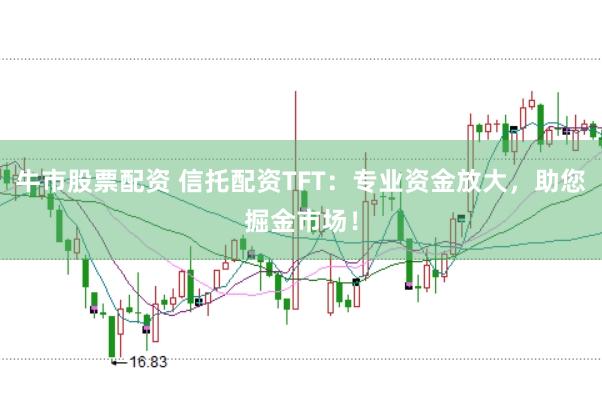 牛市股票配资 信托配资TFT：专业资金放大，助您掘金市场！