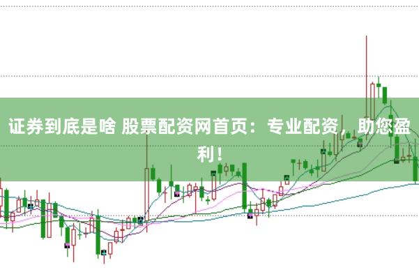 证券到底是啥 股票配资网首页：专业配资，助您盈利！