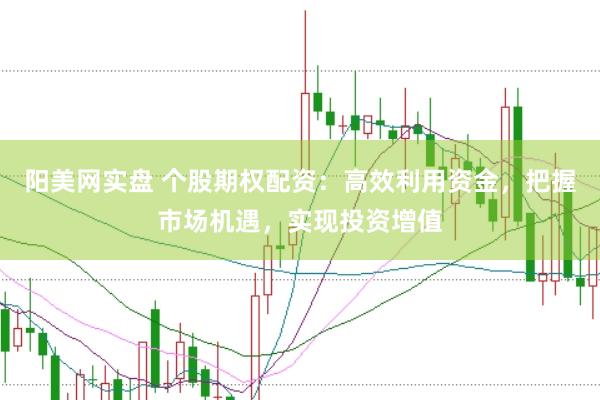 阳美网实盘 个股期权配资：高效利用资金，把握市场机遇，实现投资增值