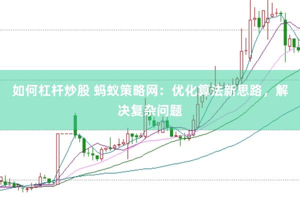 如何杠杆炒股 蚂蚁策略网：优化算法新思路，解决复杂问题