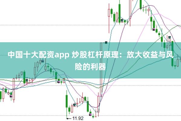 中国十大配资app 炒股杠杆原理：放大收益与风险的利器
