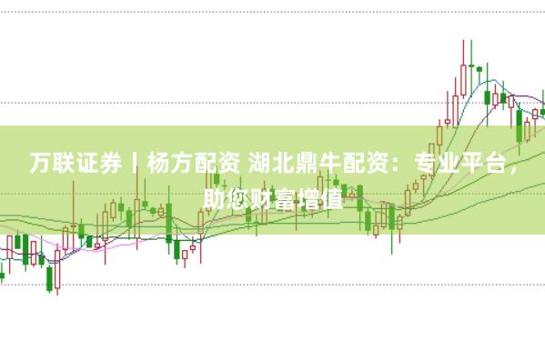 万联证券丨杨方配资 湖北鼎牛配资：专业平台，助您财富增值