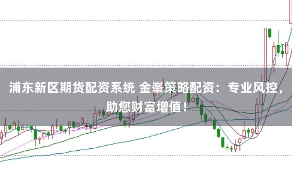 浦东新区期货配资系统 金峯策略配资：专业风控，助您财富增值！