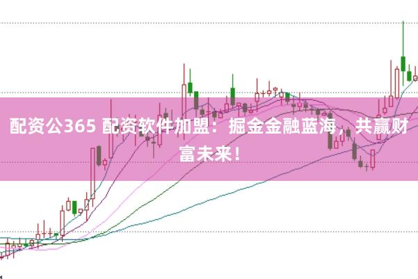 配资公365 配资软件加盟：掘金金融蓝海，共赢财富未来！