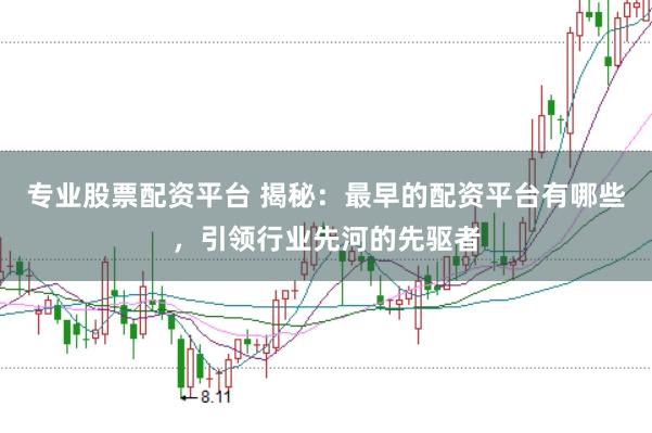 专业股票配资平台 揭秘：最早的配资平台有哪些，引领行业先河的先驱者