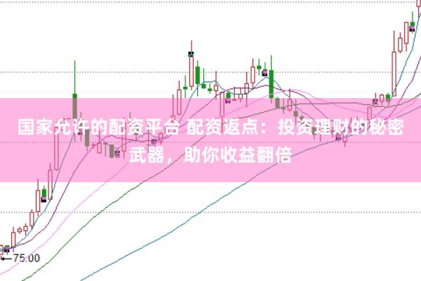 国家允许的配资平台 配资返点：投资理财的秘密武器，助你收益翻倍
