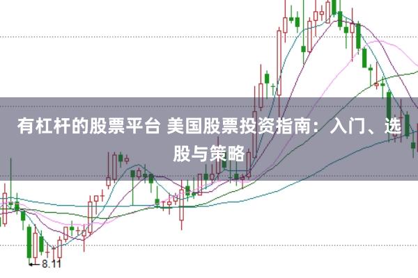 有杠杆的股票平台 美国股票投资指南：入门、选股与策略
