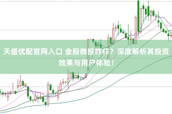 天盛优配官网入口 金股微投咋样？深度解析其投资效果与用户体验！