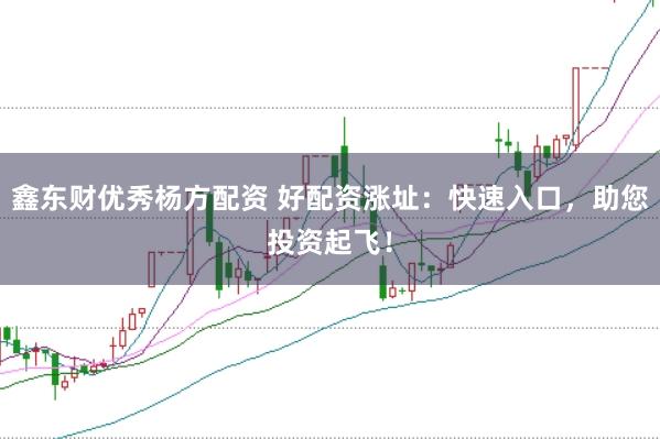 鑫东财优秀杨方配资 好配资涨址：快速入口，助您投资起飞！