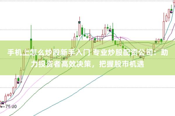 手机上怎么炒股新手入门 专业炒股配资公司：助力投资者高效决策，把握股市机遇