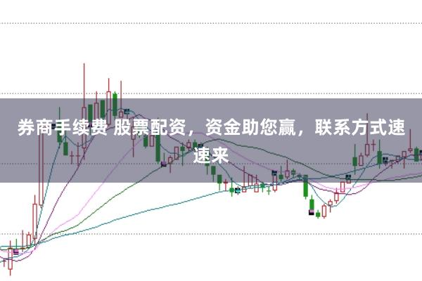 券商手续费 股票配资，资金助您赢，联系方式速速来