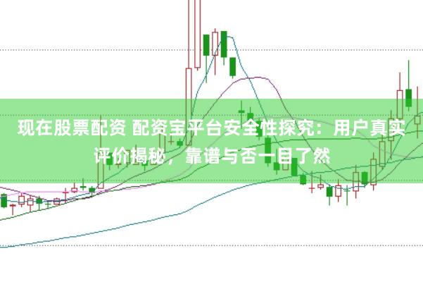 现在股票配资 配资宝平台安全性探究：用户真实评价揭秘，靠谱与否一目了然
