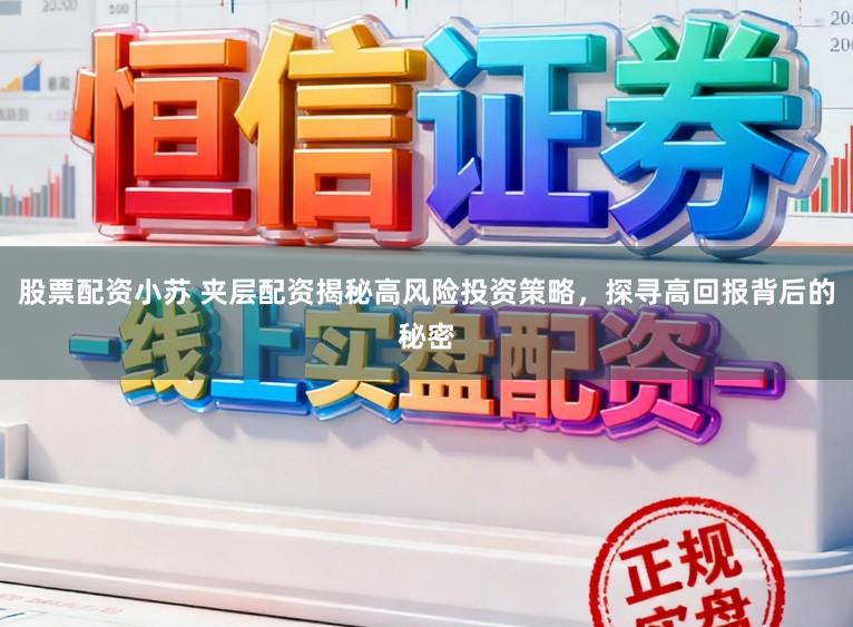 股票配资小苏 夹层配资揭秘高风险投资策略，探寻高回报背后的秘密